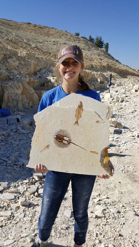 digging for fossils in wyoming.